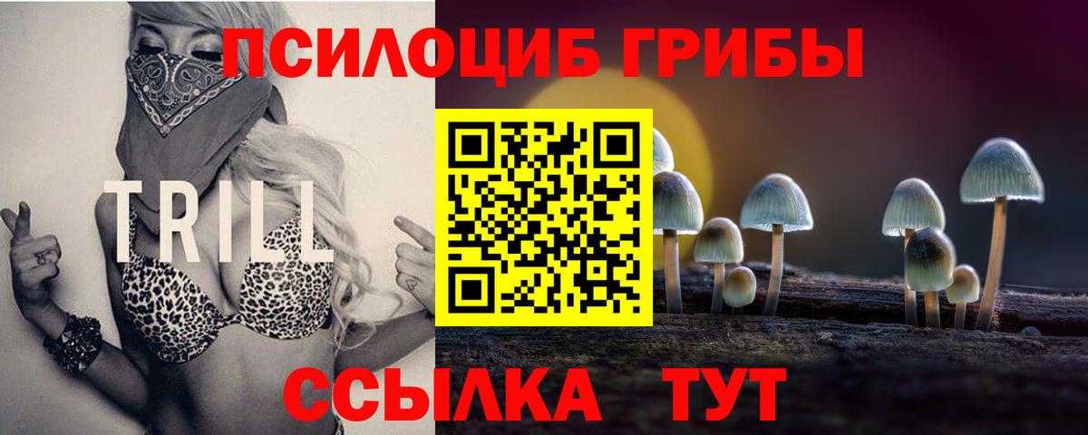 Геленджик  Галлюциногенные грибы Psilocybe  Вход с VPN 